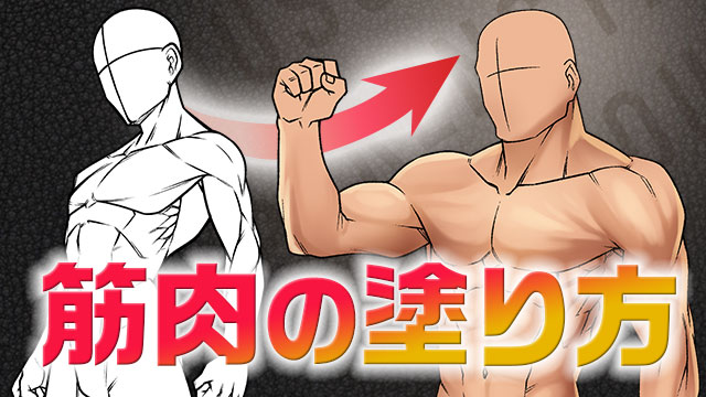 筋肉の塗り方講座 お絵かき講座パルミー