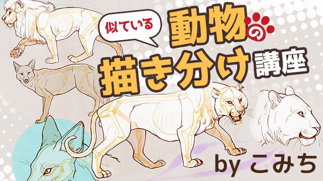 動物イラストの描き方講座の決定版 似ている動物の描き方講座 お絵かき講座パルミー